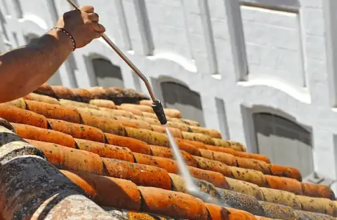 Nettoyage de toitures - Saint-Étienne-la-Varenne